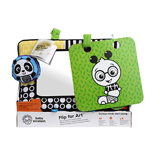 Baby Einstein Activity Mirror with Cards Baby Einstein Activity Mirror with Cards